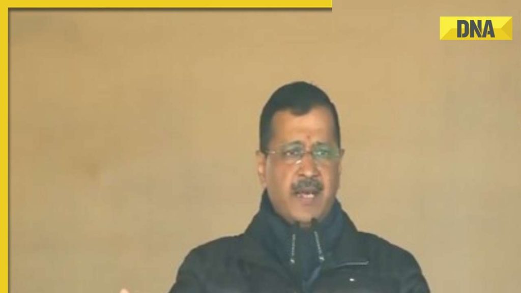 Delhi govt introduces new Solar Policy 2024, electricity bills for consumers with rooftop system